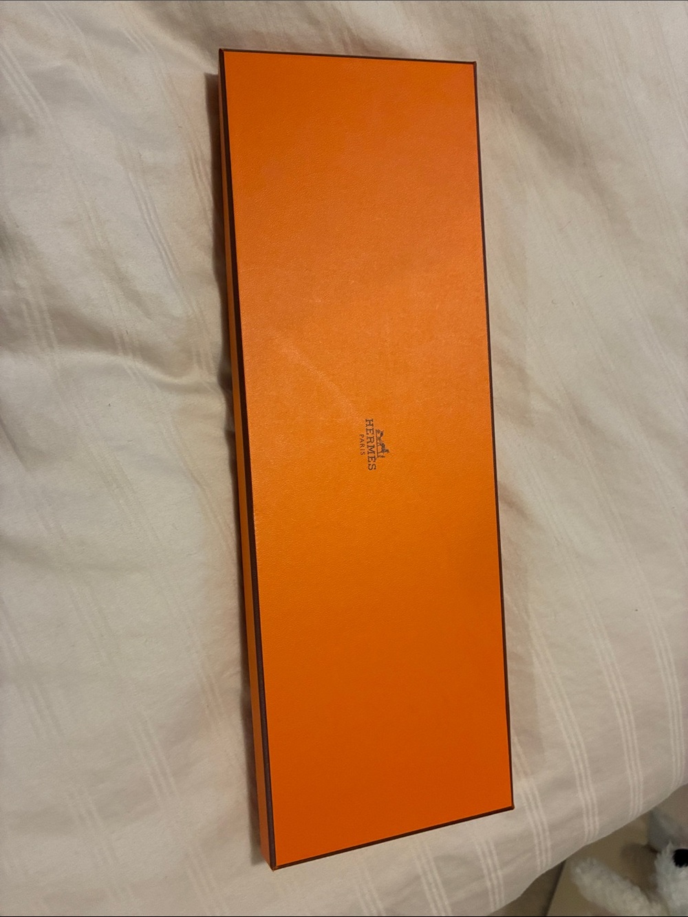 Hermes Lion Tie Presentation Box